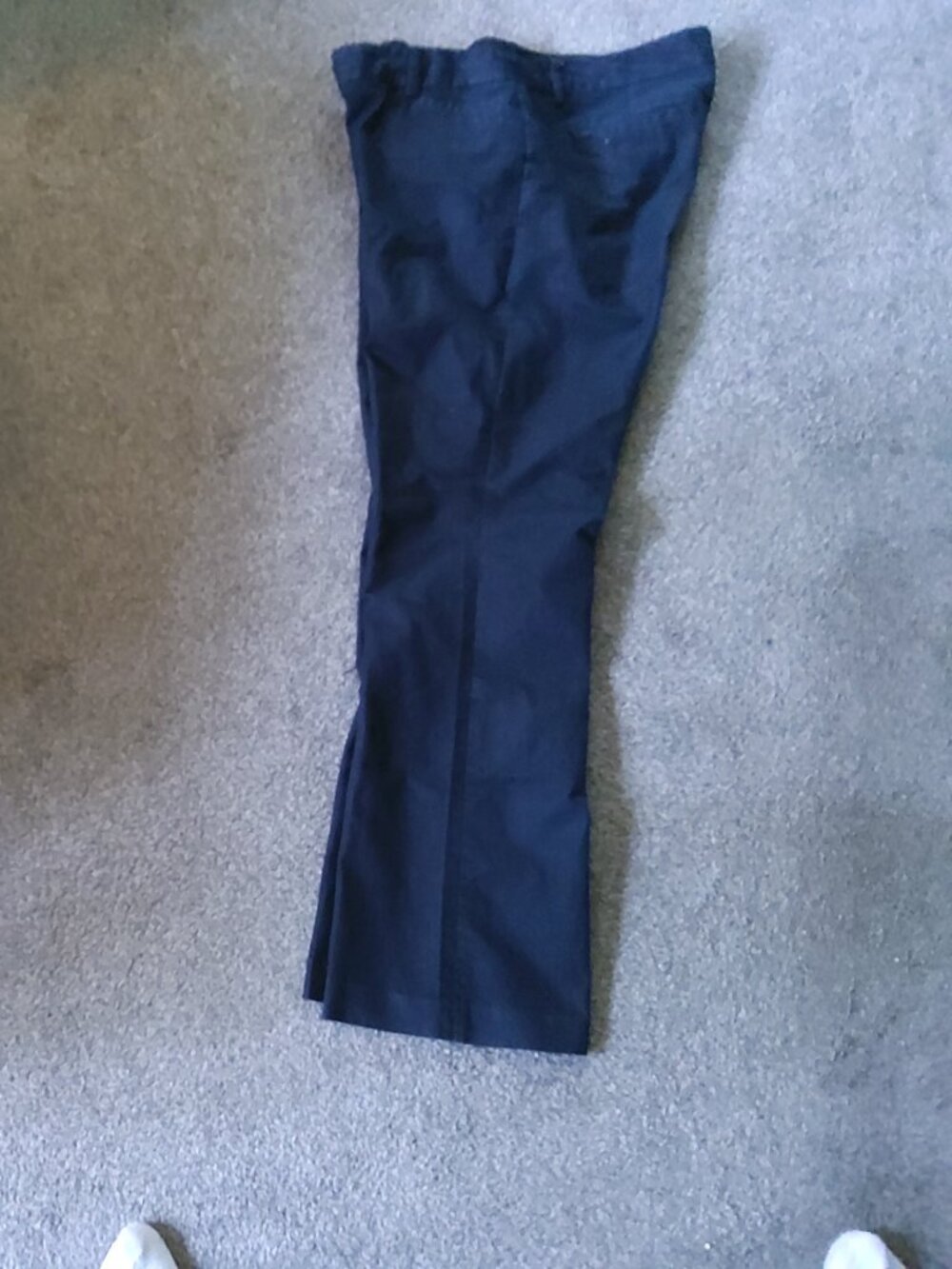 EXPRESS NAVY BLUE PANTS